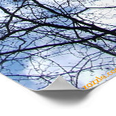 ウェブベッドの空。 ポスター (角)