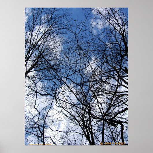 ウェブベッドの空。 ポスター (正面)