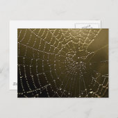 ウェブ ポストカード (正面/裏面)