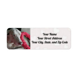 ウェマラナー犬のハートを雨に降らせる ラベル