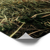 ウェルカムサイン 結婚式 写真 ポスター (角)