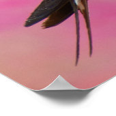 ウェルカムスワロー ポスター (角)