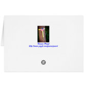 ウェルカムホーム&サンキュー軍隊グリーティングカード (裏面横)