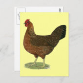 ウェルサマー・ヘン ポストカード (正面/裏面)