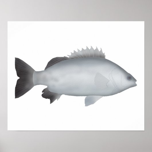 ウェルシュグルンター ポスター (正面)