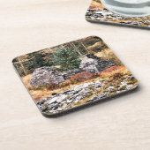 ウェルシュコテージ コースター (左側)