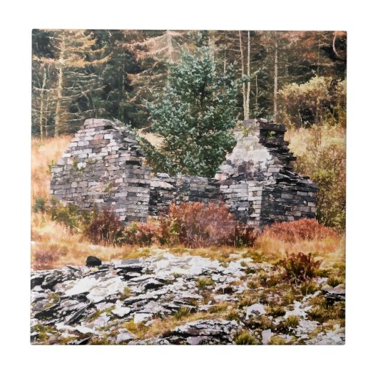 ウェルシュコテージ タイル (正面)