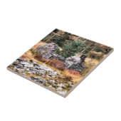 ウェルシュコテージ タイル (側面)