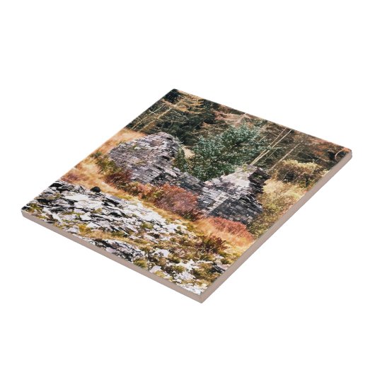 ウェルシュコテージ タイル (側面)