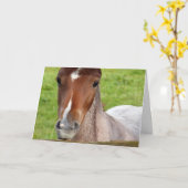 ウェルシュコブフォール誕生日カード カード (黄色い花)