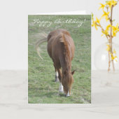 ウェルシュコブ誕生日カード カード (黄色い花)