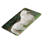 ウェルシュコブ馬フレキシブルマグネット マグネット (左側)