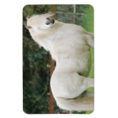 ウェルシュコブ馬フレキシブルマグネット マグネット (縦)