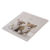 ウェルシュコーギーの子犬 タイル (側面)