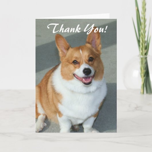 ウェルシュコーギーの挨拶状ありがとう サンキューカード (正面)