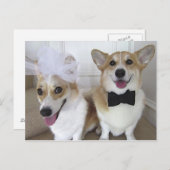 ウェルシュコーギーの新郎新婦 ポストカード (正面/裏面)