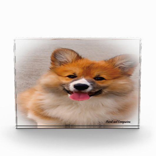 ウェルシュコーギーの犬 フォトブロック (正面)
