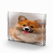 ウェルシュコーギーの犬 フォトブロック (右)