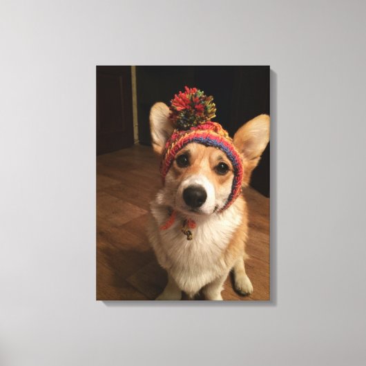 ウェルシュコーギーは手編み帽子をかぶって半身裸 キャンバスプリント (正面)