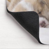 ウェルシュコーギー子犬 マウスパッド (コーナー)