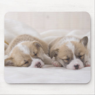 ウェルシュコーギー子犬 マウスパッド