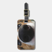 ウェルシュコーギー犬鼻のコレクション ラゲッジタグ (正面縦)