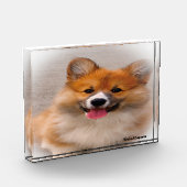 ウェルシュコーギー犬。 フォトブロック (左)