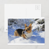 ウェルシュコーギー積雪日 ポストカード (正面/裏面)