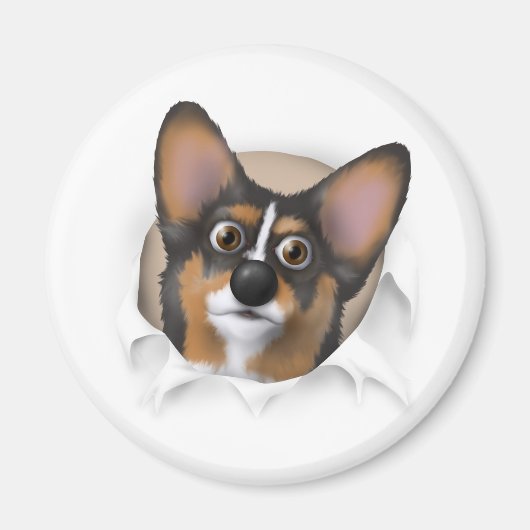 ウェルシュコーギー2バストアウト マグネット (正面)