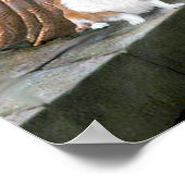 ウェルシュコーギー2 – ザアクコラード ポスター (角)