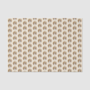 ウェルシュスプリンガー絵画スパニエル犬ズ – オリジナルドッグアート 薄葉紙