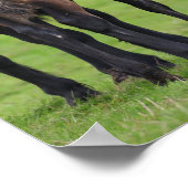 ウェルシュセクションDマーレとフォール立ち ポスター (角)