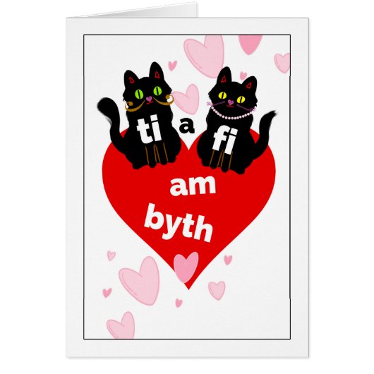 ウェルシュセントドウィンウェンズデイTi a Fi am Byth (正面)