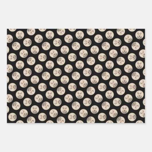 ウェルシュテリア絵を描ーのWTかわいいオリジナルドッグアート ラッピングペーパーシート (正面3)