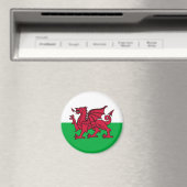 ウェルシュドラゴン マグネット (インサイチュ (食洗機))