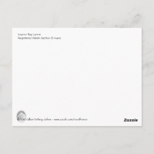 ウェルシュベイホースポートレート ポストカード (裏面)