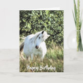 ウェルシュポニー カード (正面)