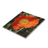 ウェルシュポピー（オレンジ） タイル (側面)