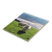 ウェルシュマウンテンヒツジ タイル (側面)