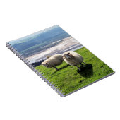 ウェルシュマウンテンヒツジ ノートブック (右側)