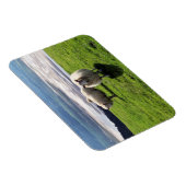 ウェルシュマウンテンヒツジ マグネット (右側)