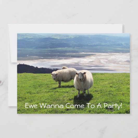 ウェルシュマウンテンヒツジ 招待状 (正面)