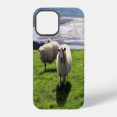 ウェルシュマウンテンヒツジ iPhoneケース (裏面)