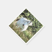 ウェルシュマウンテンポニー スタンダードカクテルナプキン (角)