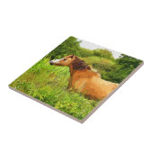 ウェルシュマウンテンポニー タイル (側面)