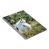 ウェルシュマウンテンポニー ノートブック (右側)