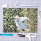 ウェルシュマウンテンポニー 薄葉紙 (クラフト)