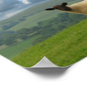 ウェルシュラブス ポスター (角)