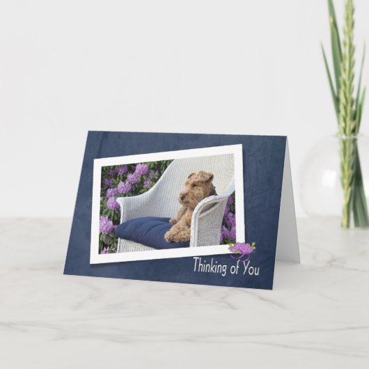 ウェルシュ考える・テリアの カード (正面)