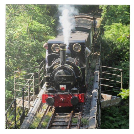 ウェルシュ蒸気列車。 タイル (正面)